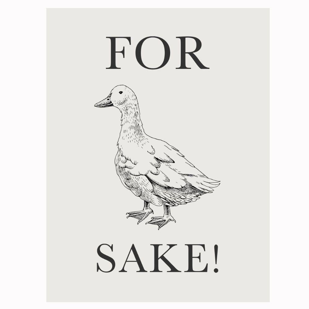 For Ducks Sake - Humorous Sign